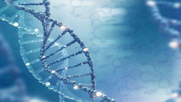 首部《中国生物类似药专家共识》正式发部，助力创新！